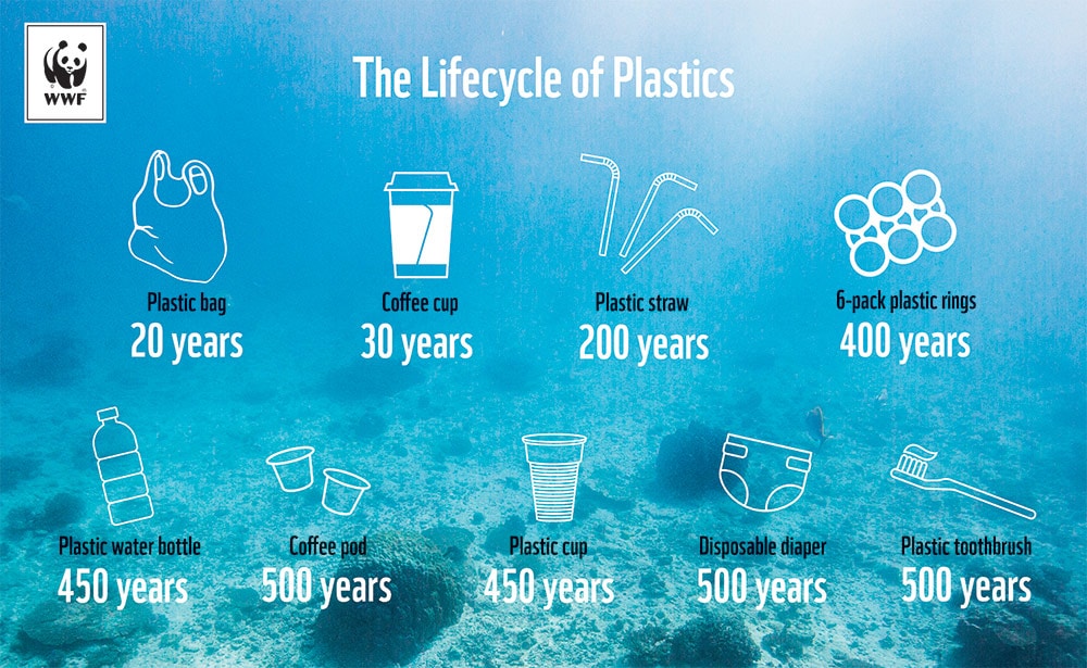 the lifecycle of plastics