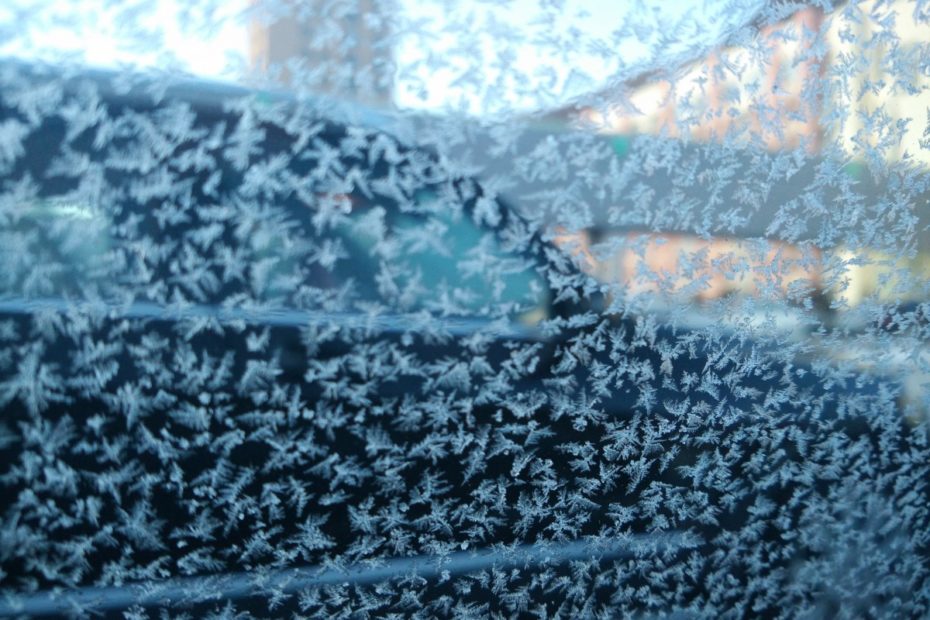 winter_frost_flower_car_window