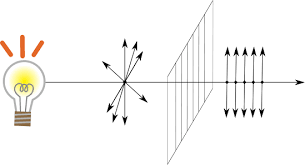 Schematic of polarized light