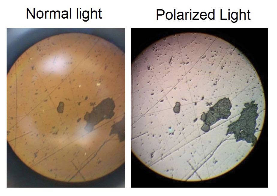 The different with normal light and polarized light